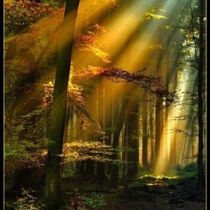 Meet your Posher, Sunshine